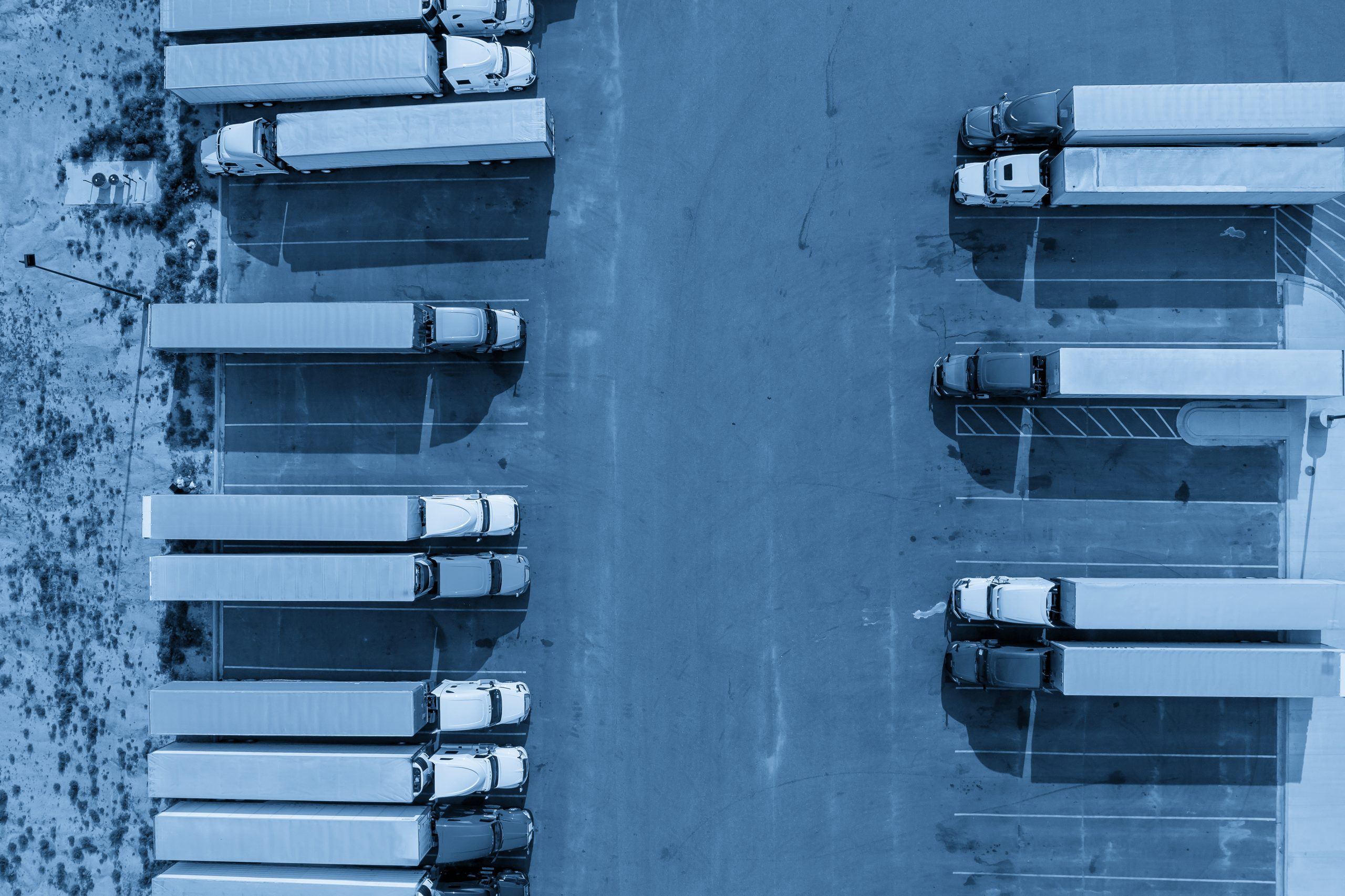 Yard security in Fresno